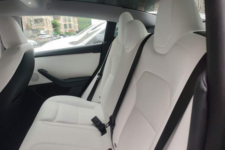 Used Tesla Model 3 2023 Rear-Wheel-Drive Version Left Rear Seat