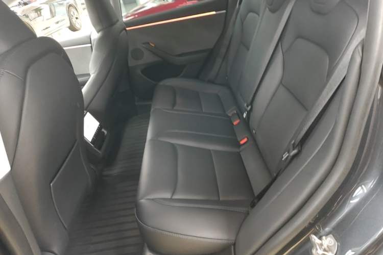 Used Tesla Model 3 2023 Rear-Wheel-Drive Version Left Rear Seat