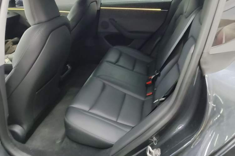 Used Tesla Model 3 2023 Rear-Wheel-Drive Version Left Rear Seat