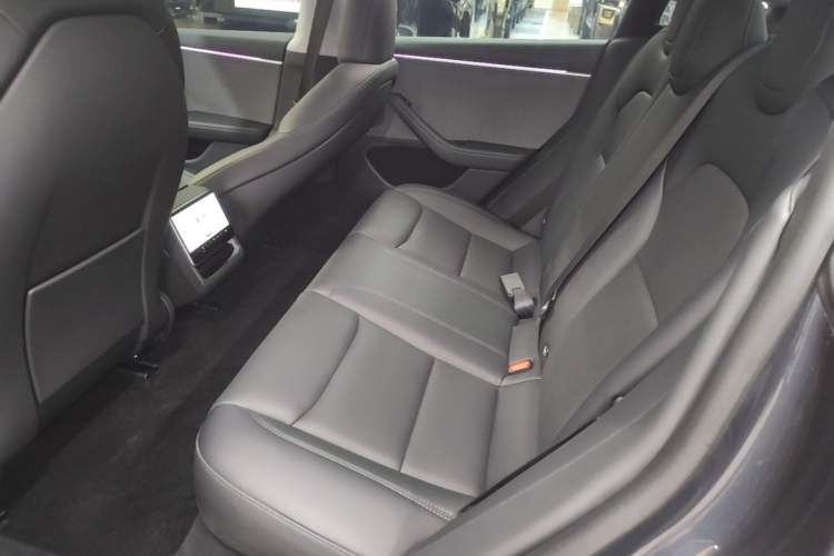 Used Tesla Model 3 2023 Rear-Wheel-Drive Version Left Rear Seat