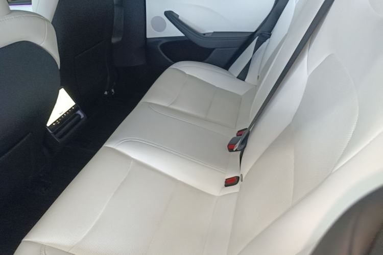 Used Tesla Model 3 2023 Rear-Wheel-Drive Version Left Rear Seat
