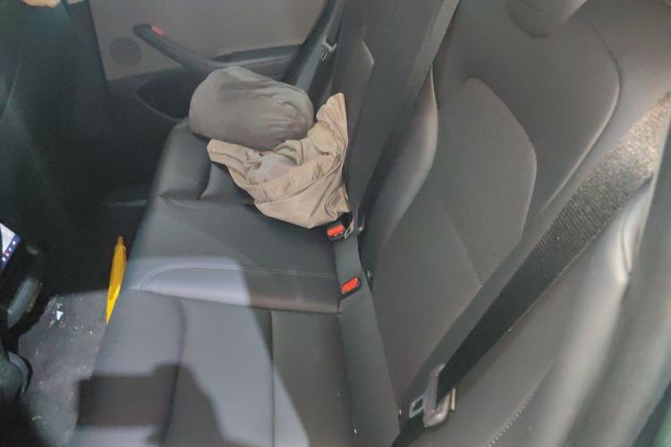 Used Tesla Model 3 2023 Rear-Wheel-Drive Version Left Rear Seat