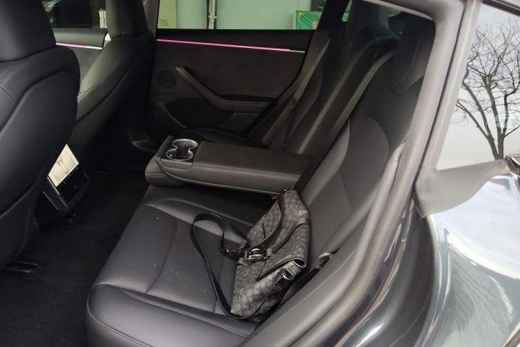 Used Tesla Model 3 2023 Long-Range All-Wheel-Drive Version Left Rear Seat