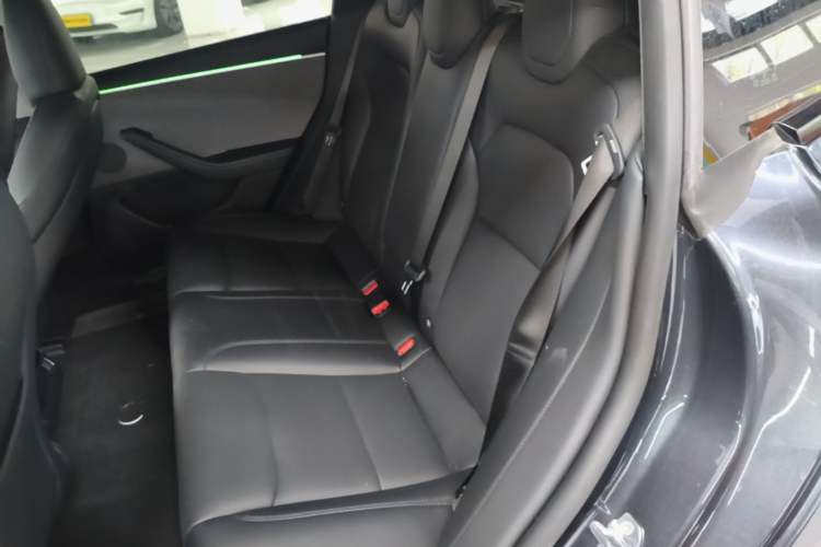 Used Tesla Model 3 2023 Rear-Wheel-Drive Version Left Rear Seat