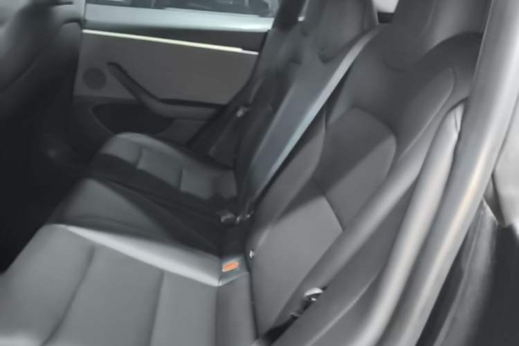 Used Tesla Model 3 2023 Rear-Wheel-Drive Version Left Rear Seat