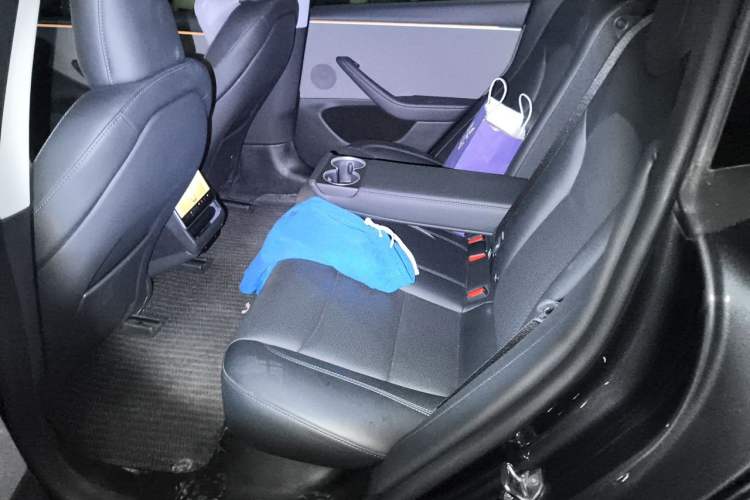 Used Tesla Model 3 2023 Rear-Wheel-Drive Version Left Rear Seat