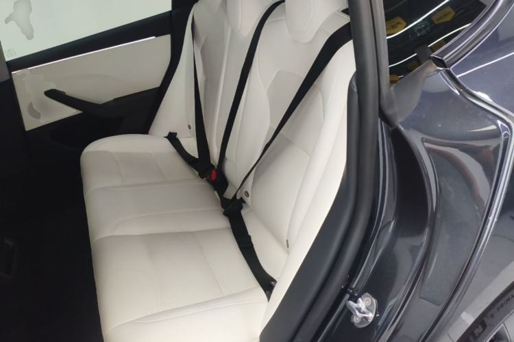 Used Tesla Model 3 2023 Long-Range All-Wheel-Drive Version Left Rear Seat