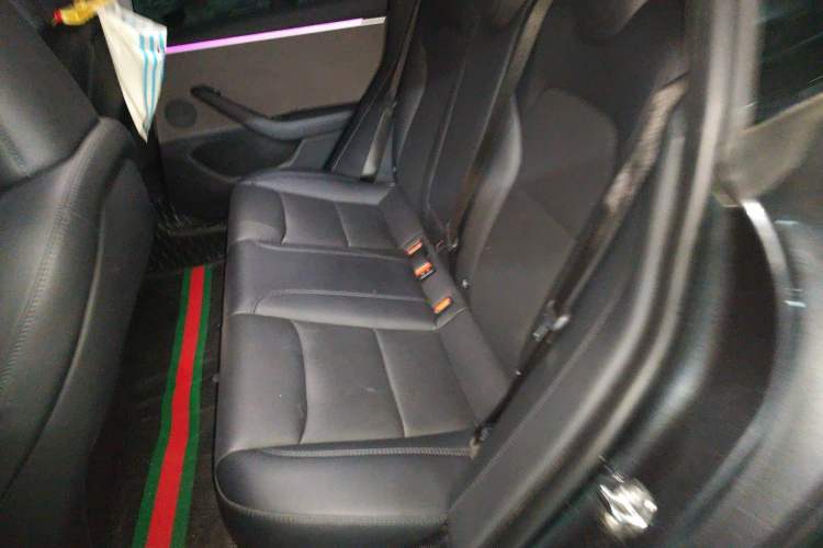 Used Tesla Model 3 2023 Rear-Wheel-Drive Version Left Rear Seat
