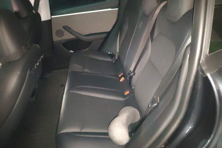 Used Tesla Model 3 2023 Rear-Wheel-Drive Version Left Rear Seat