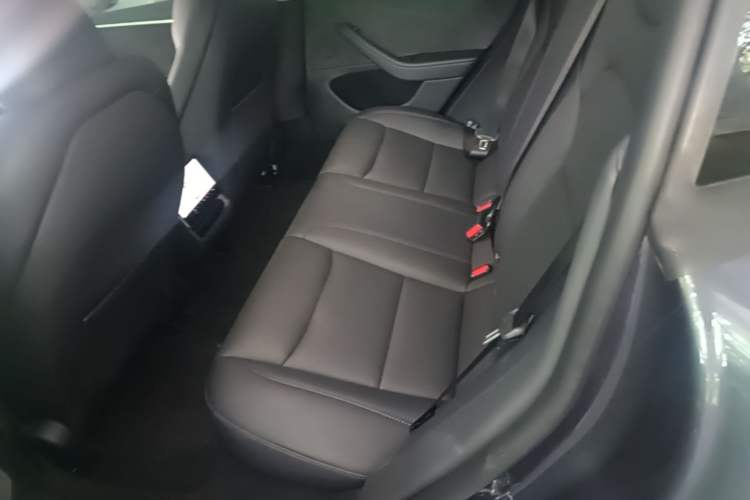 Used Tesla Model 3 2023 Long-Range All-Wheel-Drive Version Left Rear Seat