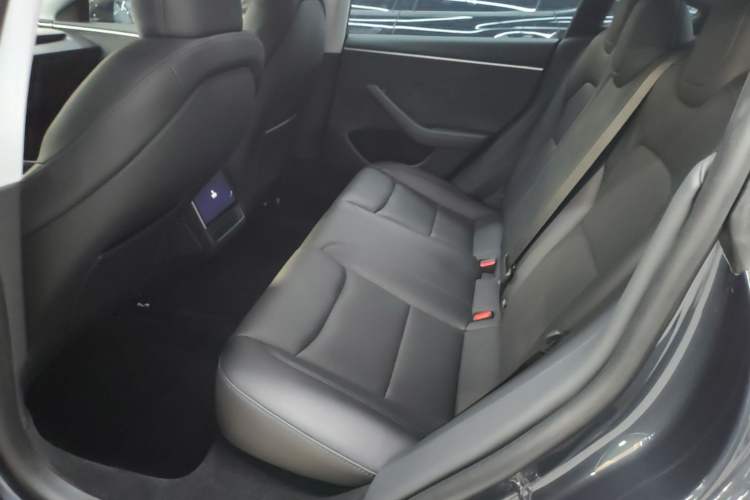 Used Tesla Model 3 2023 Long-Range All-Wheel-Drive Version Left Rear Seat