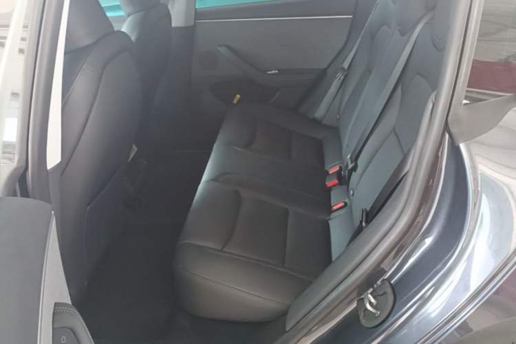 Used Tesla Model 3 2023 Rear-Wheel-Drive Version Left Rear Seat