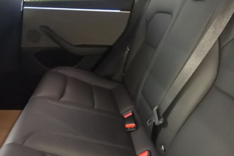 Used Tesla Model 3 2023 Rear-Wheel-Drive Version Left Rear Seat