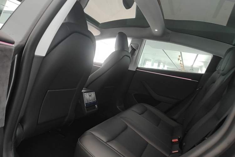 Used Tesla Model 3 2023 Rear-Wheel-Drive Version Left Rear Seat
