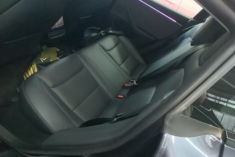 Used Tesla Model 3 2023 Rear-Wheel-Drive Version Left Rear Seat