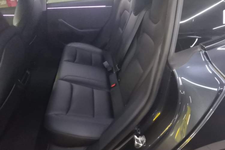 Used Tesla Model 3 2023 Rear-Wheel-Drive Version Left Rear Seat