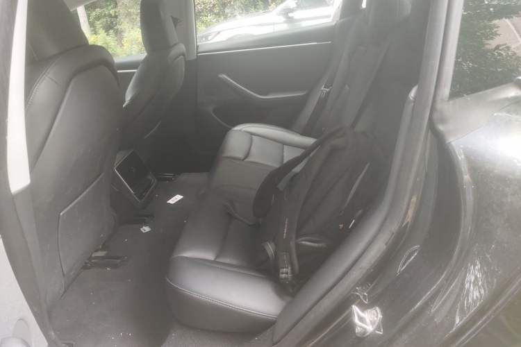 Used Tesla Model 3 2023 Rear-Wheel-Drive Version Left Rear Seat