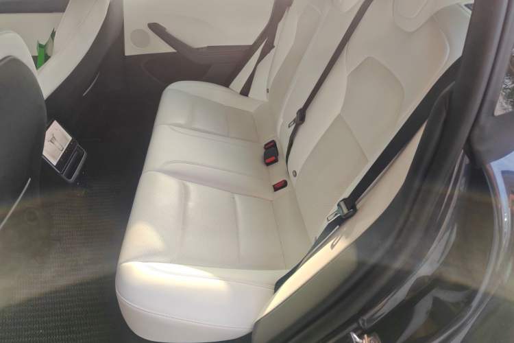 Used Tesla Model 3 2023 Rear-Wheel-Drive Version Left Rear Seat