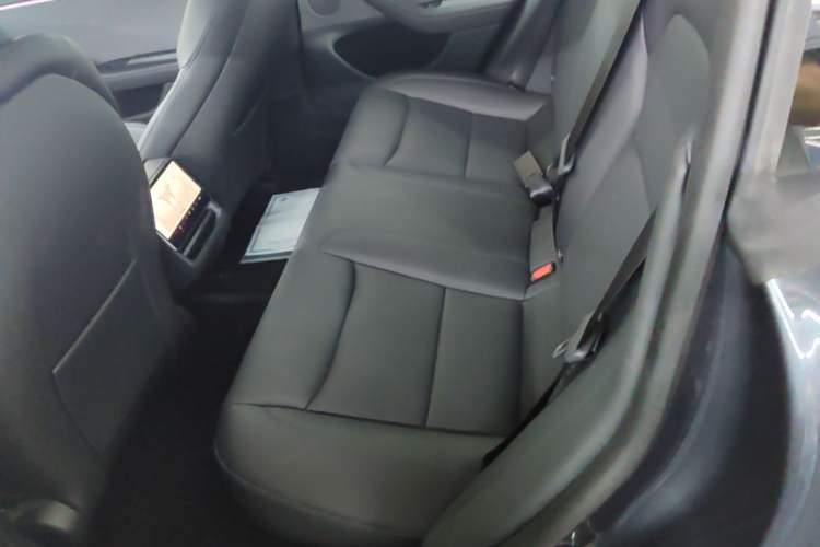 Used Tesla Model 3 2023 Rear-Wheel-Drive Version Left Rear Seat