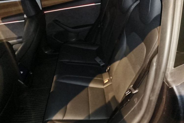 Used Tesla Model 3 2023 Long-Range All-Wheel-Drive Version Left Rear Seat
