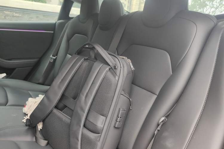 Used Tesla Model 3 2023 Long-Range All-Wheel-Drive Version Left Rear Seat