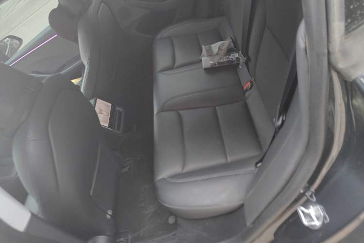Used Tesla Model 3 2023 Rear-Wheel-Drive Version Left Rear Seat