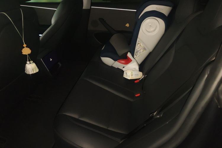 Used Tesla Model 3 2023 Rear-Wheel-Drive Version Left Rear Seat