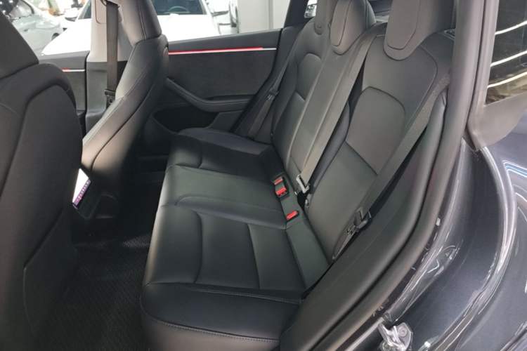 Used Tesla Model 3 2023 Long-Range All-Wheel-Drive Version Left Rear Seat