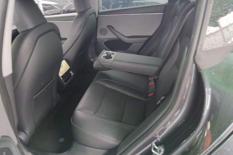 Used Tesla Model 3 2023 Rear-Wheel-Drive Version Left Rear Seat