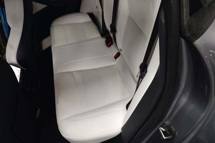 Used Tesla Model 3 2023 Long-Range All-Wheel-Drive Version Left Rear Seat