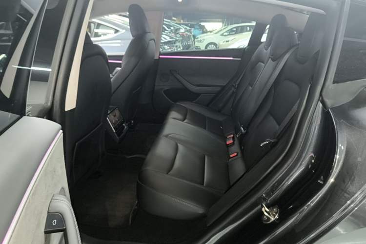 Used Tesla Model 3 2023 Long-Range All-Wheel-Drive Version Left Rear Seat