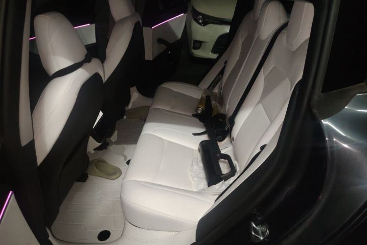 Used Tesla Model 3 2023 Long-Range All-Wheel-Drive Version Left Rear Seat