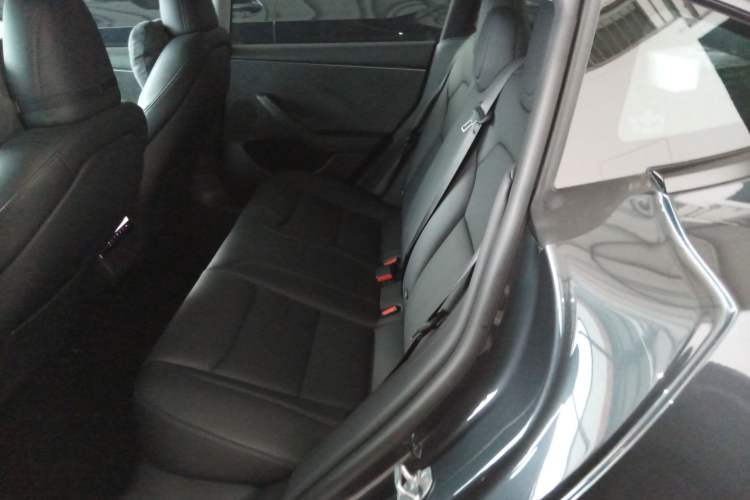 Used Tesla Model 3 2023 Long-Range All-Wheel-Drive Version Left Rear Seat