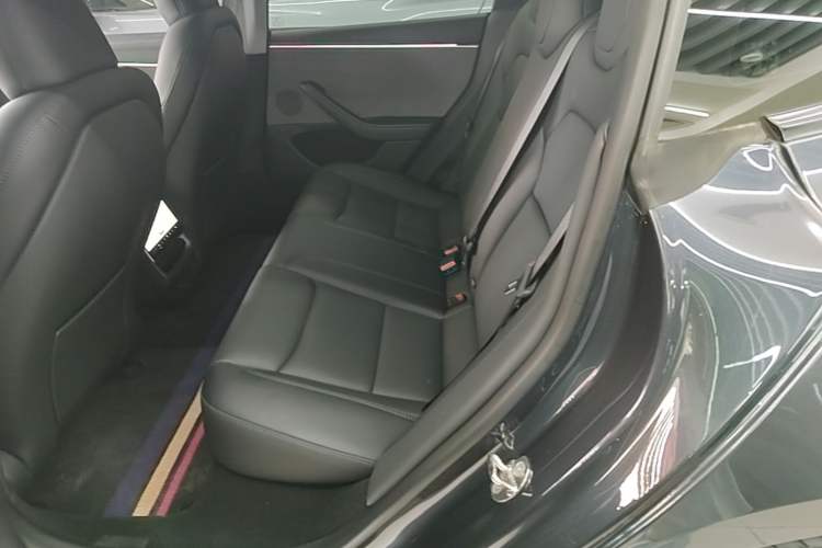 Used Tesla Model 3 2023 Rear-Wheel-Drive Version Left Rear Seat