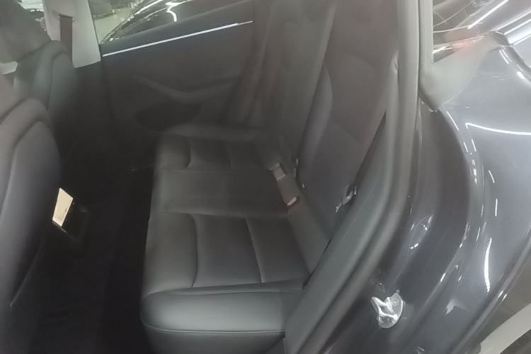 Used Tesla Model 3 2023 Long-Range All-Wheel-Drive Version Left Rear Seat