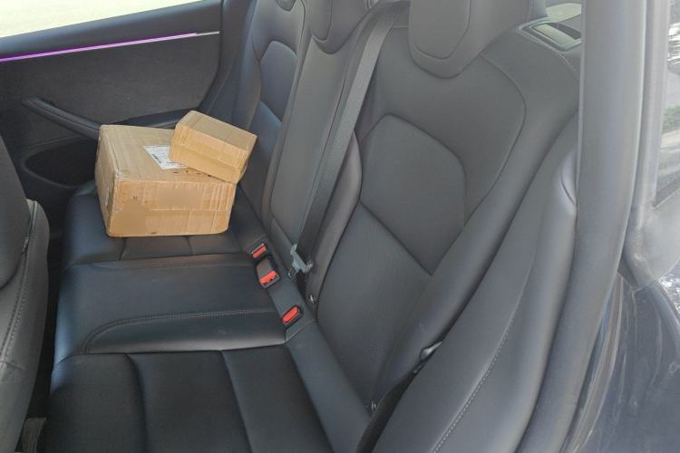 Used Tesla Model 3 2023 Long-Range All-Wheel-Drive Version Left Rear Seat