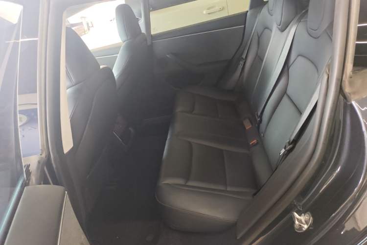 Used Tesla Model 3 2023 Rear-Wheel-Drive Version Left Rear Seat