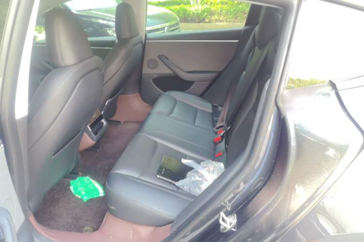 Used Tesla Model 3 2023 Rear-Wheel-Drive Version Left Rear Seat