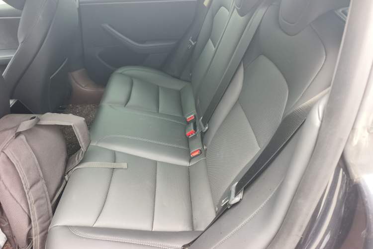 Used Tesla Model 3 2023 Long-Range All-Wheel-Drive Version Left Rear Seat