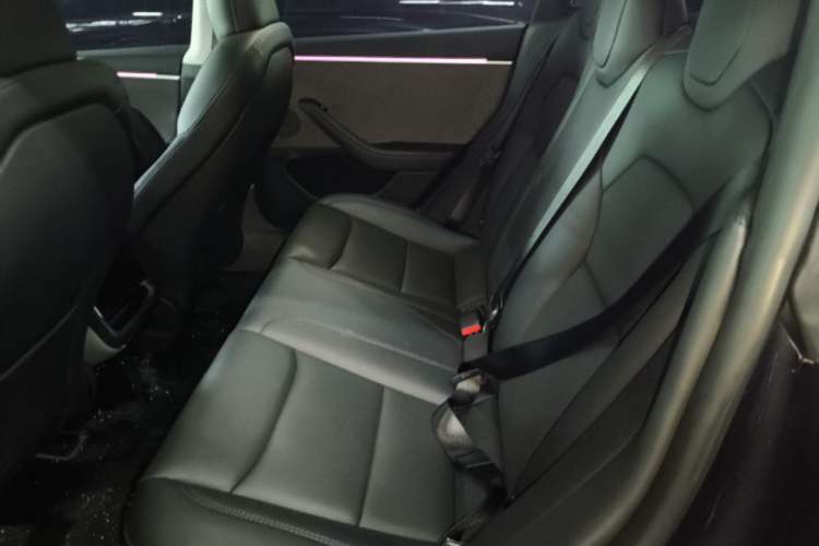 Used Tesla Model 3 2023 Rear-Wheel-Drive Version Left Rear Seat