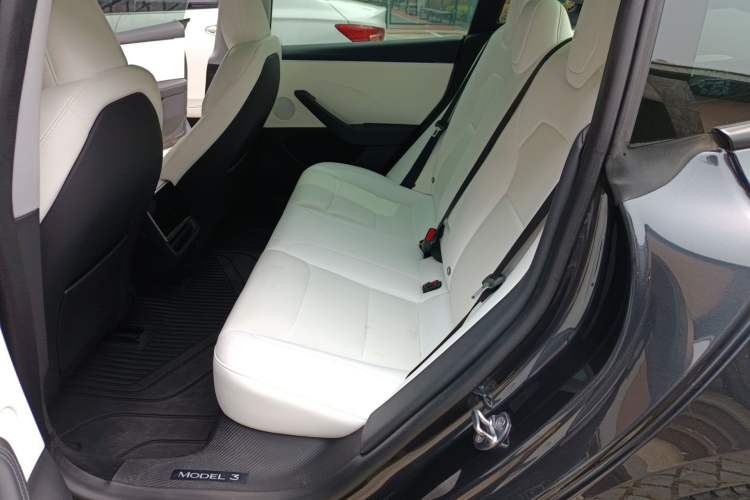 Used Tesla Model 3 2023 Long-Range All-Wheel-Drive Version Left Rear Seat