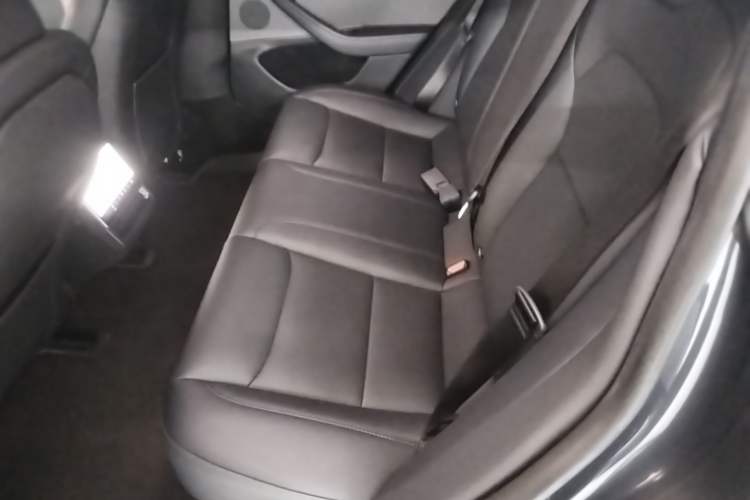 Used Tesla Model 3 2023 Rear-Wheel-Drive Version Left Rear Seat