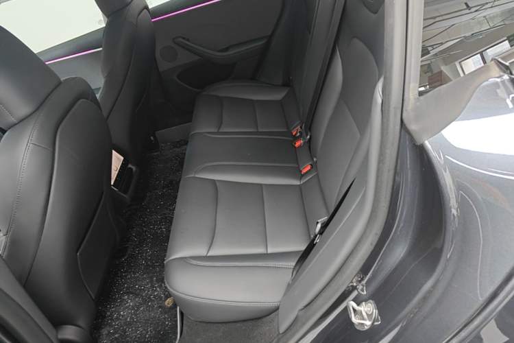 Used Tesla Model 3 2023 Rear-Wheel-Drive Version Left Rear Seat