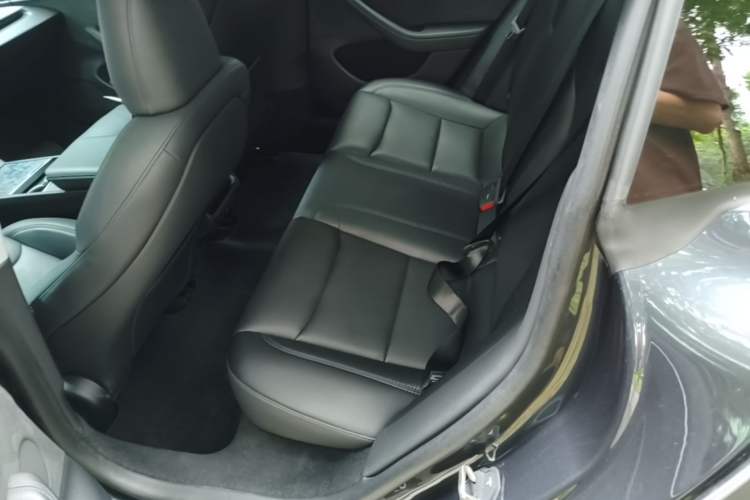 Used Tesla Model 3 2023 Long-Range All-Wheel-Drive Version Left Rear Seat