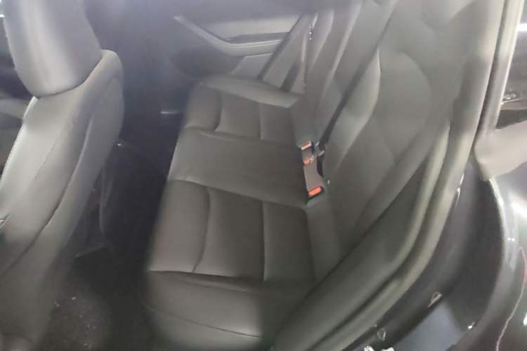 Used Tesla Model 3 2023 Long-Range All-Wheel-Drive Version Left Rear Seat