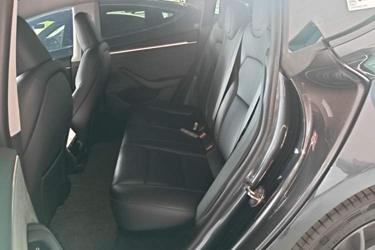 Used Tesla Model 3 2023 Long-Range All-Wheel-Drive Version Left Rear Seat