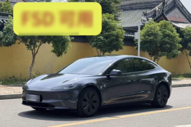 Used Tesla Model 3 2023 Rear-Wheel-Drive Version