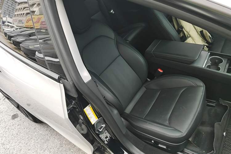 Used Tesla Model 3 2023 Long-Range All-Wheel-Drive Version Right Front Seat