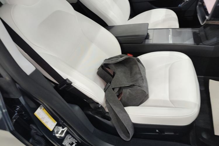 Used Tesla Model 3 2023 Rear-Wheel-Drive Version Right Front Seat