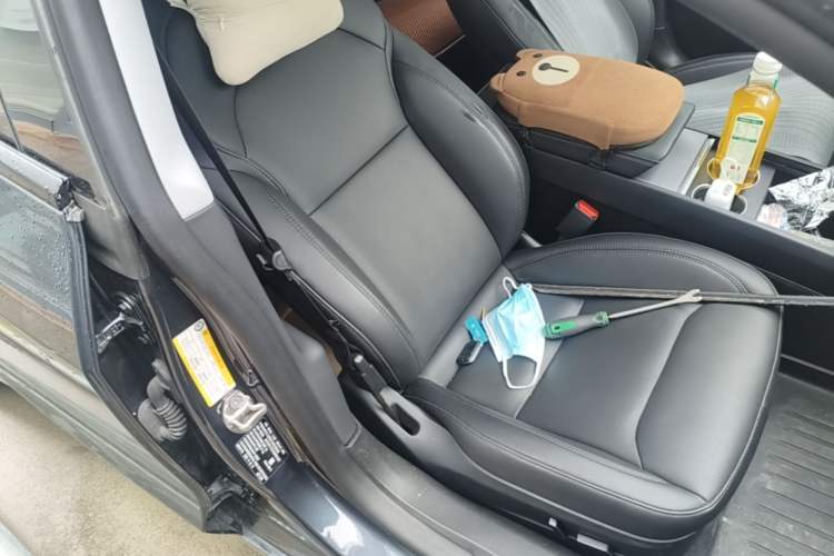 Used Tesla Model 3 2023 Rear-Wheel-Drive Version Right Front Seat